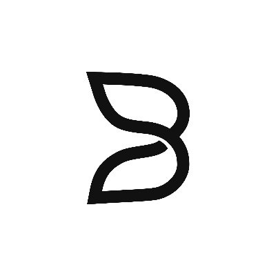 BAI AGI
